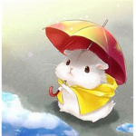 Hamsters! :D