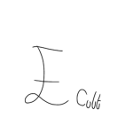 THE AMAZING E CULT