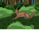 Warrior Cats Private Roleplay