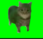 ラップ国