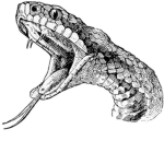 006_1
