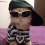 just buys kool clothes here