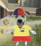 DogeDogeDogey