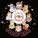 Stay Fan Club!