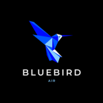 BlueBird Air Group