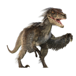 Group for raptor packs