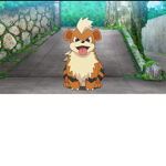 Growlithe Gang