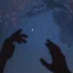 ʚ starrylights ɞ