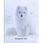 The fox’s Cubs