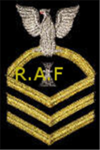 R.A.F Robloxian Air Force
