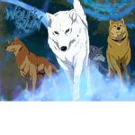 •S•Wolfie •