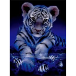 Save the White Tigers