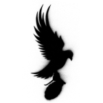 Black Dove