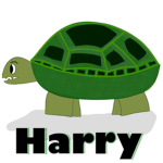 Harry The Turtle Official Fan Group