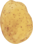 Brotato Gamez