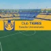 University Stadium [Tigres UANL] icon