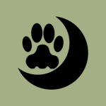 The Catnip Coven