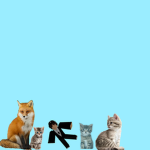 Cat group meow :3