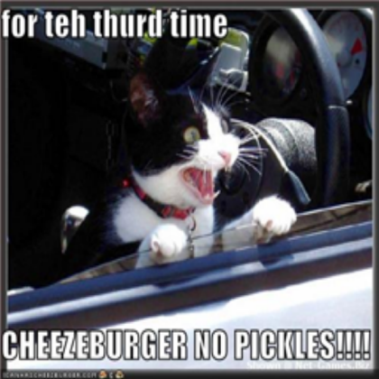 funny cat at drive thru Roblox decal