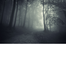 The forest (huggy wuggy)