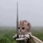 Sword Fighting Buddies Group Thumbnail