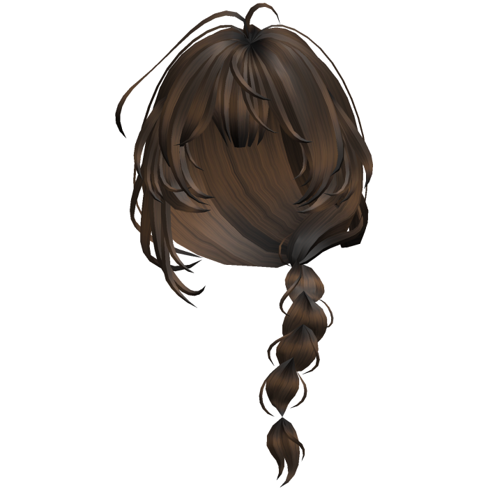 Brown Side Braid