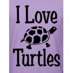 Turtle YT Fans