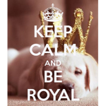 XO Royalties