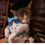 Winston and Billy