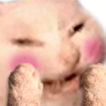 アリのグループ