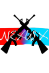 Nexus X (roblox group)