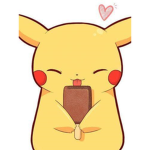 i miei pikachu