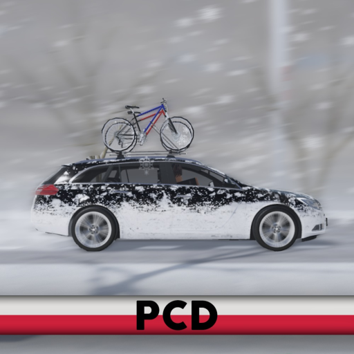 [Winter⛄] Polish Car Driving