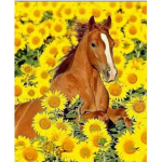 Sunflower academy!