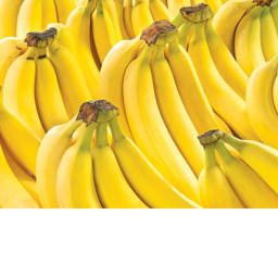 Banana Center