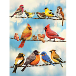 Bird Tribe