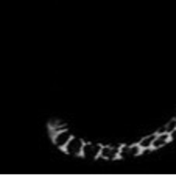 ♱