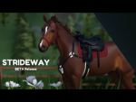 |~storm weavers riding school~|