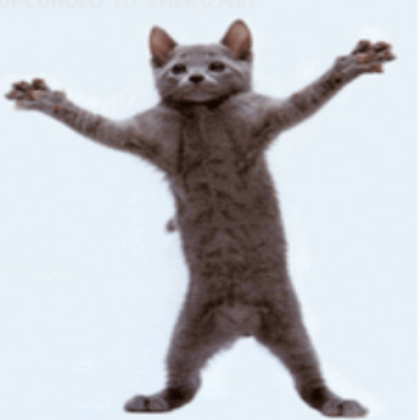 🌌 [New!] Dancing Cat Feline Dance Pet Animal Move