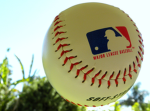 MLB fans group