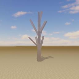 Desert