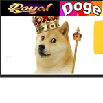 Royal_Doge’s