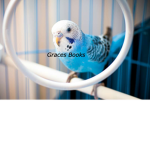 Graces Books