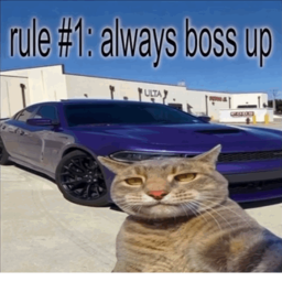 away from keyboard