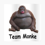 MONKE TEAM ONLY