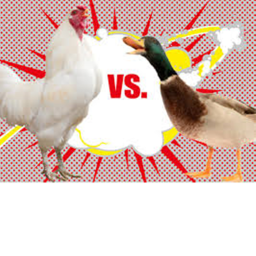 Ducks VS Chickens!