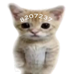 J4CK1E