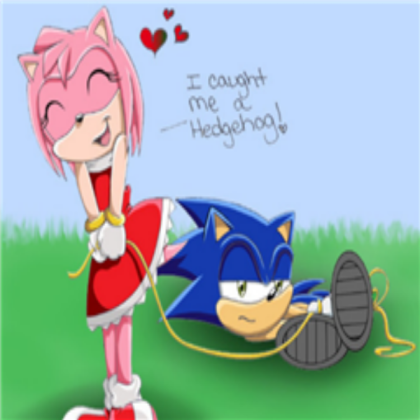 Funny SonAmy Roblox decal