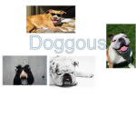 Doggous