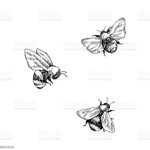 Beehives<3